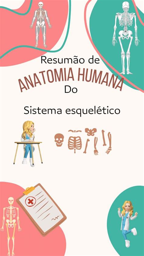 Resumão De Anatomia Humana Sistema Esquelético Raymara Forte Da