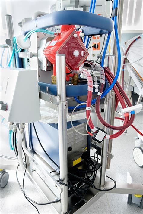 Extra Corporeal Membrane Oxygenation Ecmo Conditions Treatments