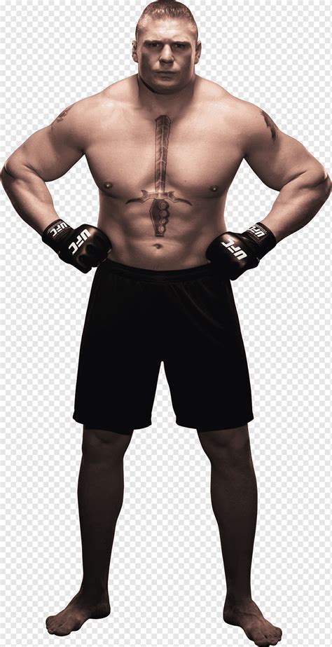 Brock Lesnar Wrestlemania Summerslam Ufc Lesnar Vs Velasquez