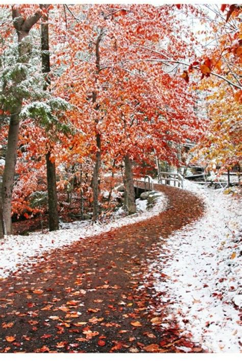 Pin by Neset Arici on süslü yollar Autumn scenery Beautiful forest