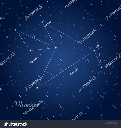 Phoenix Constellation Starry Night Sky Stock Vector Royalty Free