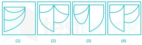 Solved Find Out Which Of The Figures And Can Be F