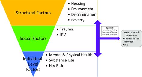 Representation Of Syndemic Theory And Factors From A Socioecological