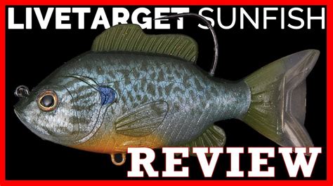 Livetarget Sunfish Review YouTube