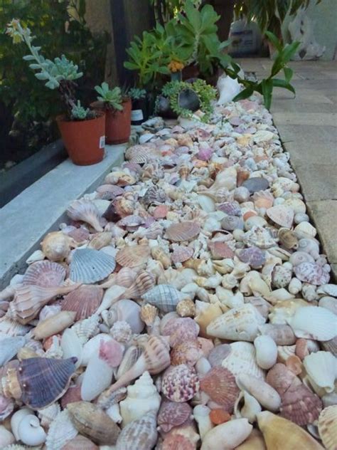 Decorate With Shells I Love Shelling Garden Edging Garden Beach Gardens