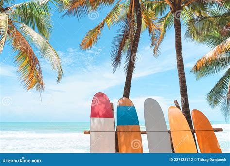 Surfboard And Palm Tree On Beach Background Royalty Free Stock Image