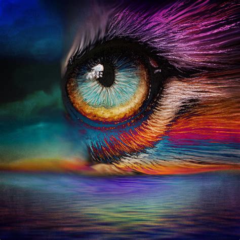 surreal eye digital art  clarazen art fine art america