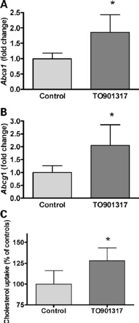 Effect Of Lxr Agonist Treatment On Maternalfetal Cholesterol Transfer