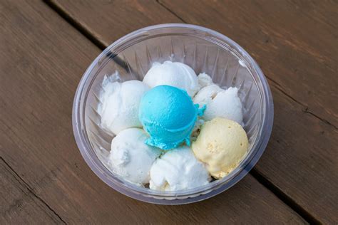 Scoop Up A Trip Around The World At Moxies Ice Cream Albany Traveler