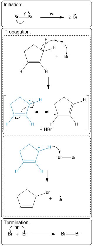 Cyclopentene Undergoes Light Promoted Bromination As Shown Below