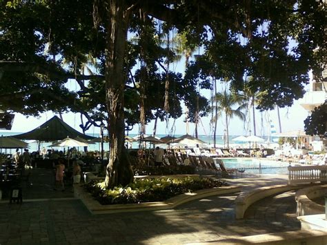 The Best Beach Bars In Honolulu Hawaii | Bars in honolulu, Visit hawaii, Honolulu