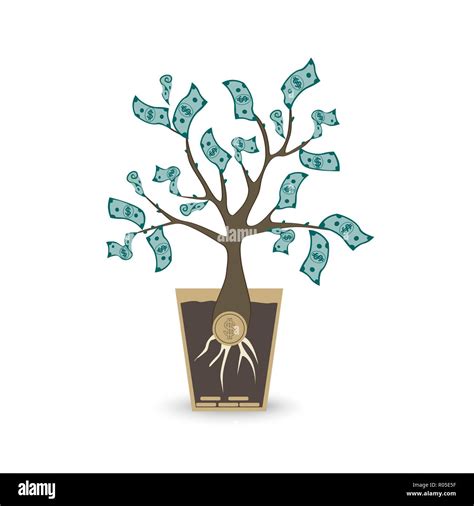 Money Tree Hi Res Stock Photography And Images Alamy