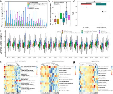 Metabolic Pathways Play Dominant Role In Cancer Pathway Dysregulation