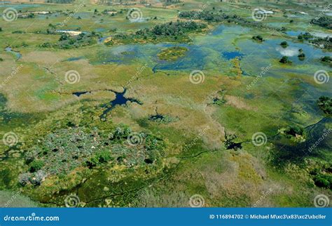 The Biggest Floods since 46 Years in the Okavango Delta Stock Photo ...