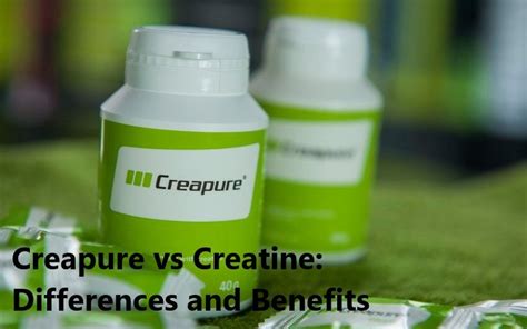 Creapure Vs Creatine Understanding The Differences And Proven Benefits