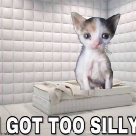 bit  silly imgflip