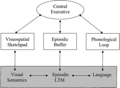 The Original Working Memory Model By Baddeley 1 Reproduced Via Open