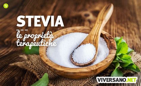 Stevia dolcificante senza calorie proprietà e controindicazioni