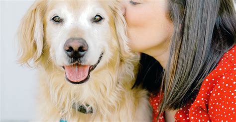 Woman’s touching obituary for her beloved dog goes viral – Group News