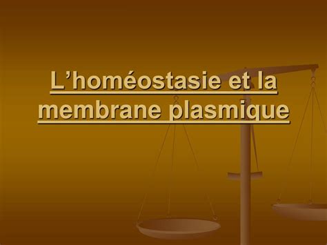 PPT Lhoméostasie et la membrane plasmique PowerPoint Presentation