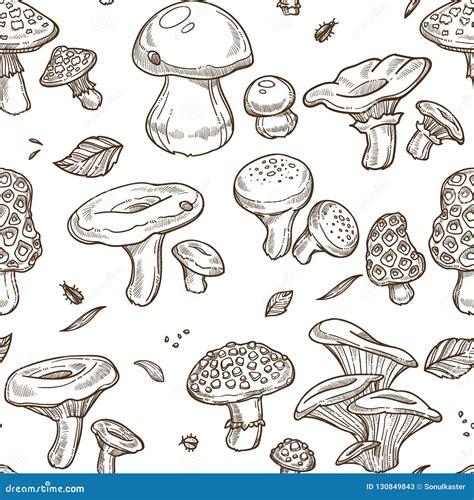 Mushrooms Sketch Seamless Pattern Vector Edible Illustration Stock