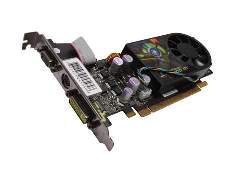 Xfx Geforce Gt Directx Pvt Gyalg Video Card Newegg