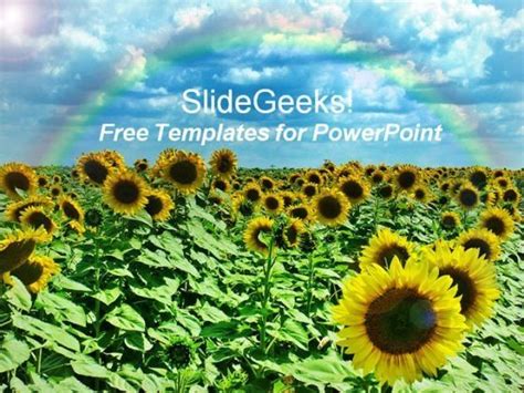 Beautiful Sunflower Powerpoint Template With Rainbow