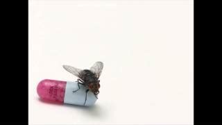 Annie Wants A Baby Von Red Hot Chili Peppers Laut De Song