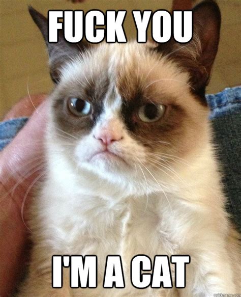 Fuck You I M A Cat Grumpy Cat Quickmeme