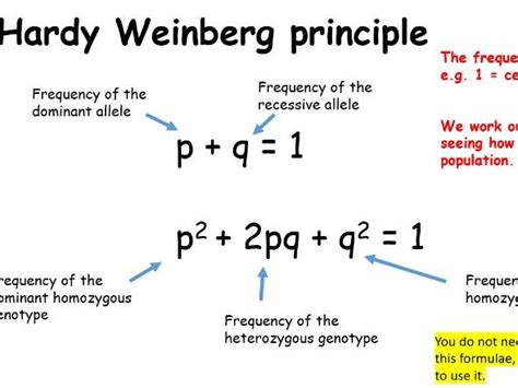 Hardy Weinberg Principle Teaching Resources