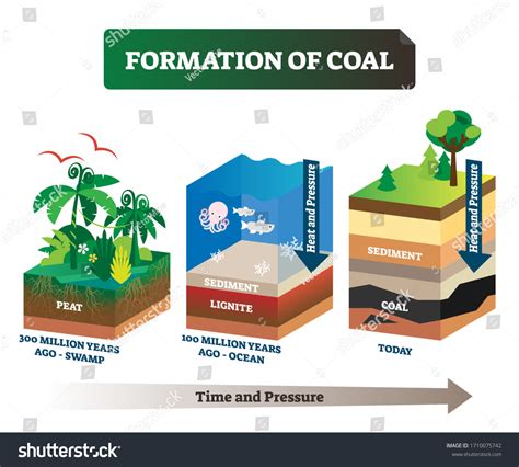 1,388 Formation Of Coal Images, Stock Photos & Vectors | Shutterstock