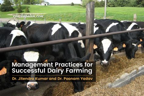 Management Practices for Successful Dairy Farming – epashupalan