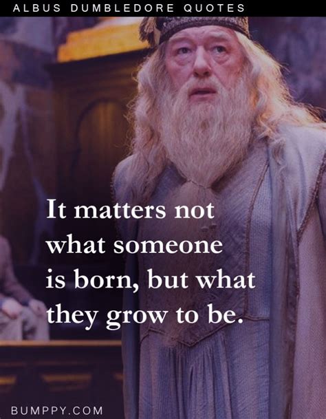 Quotes By Albus Dumbledore To Prove That He Was A True Sorcerer Of