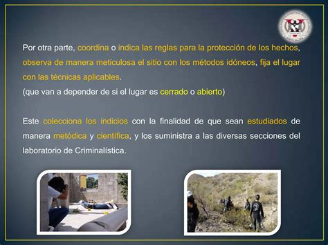 Metodología De La Criminalística De Campo Ppt