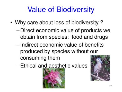 Ppt Conservation Biology Chapter 59 Powerpoint Presentation Free Download Id 40973