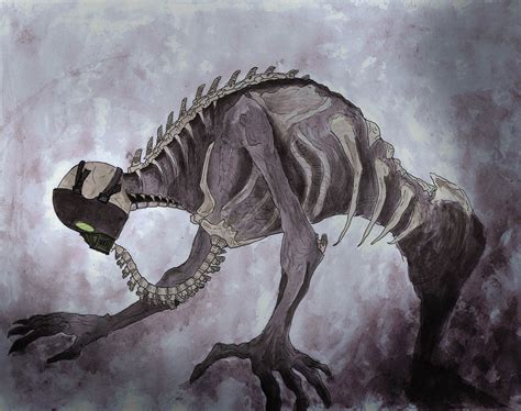 das Skeleton-Projekt - Kokorokara