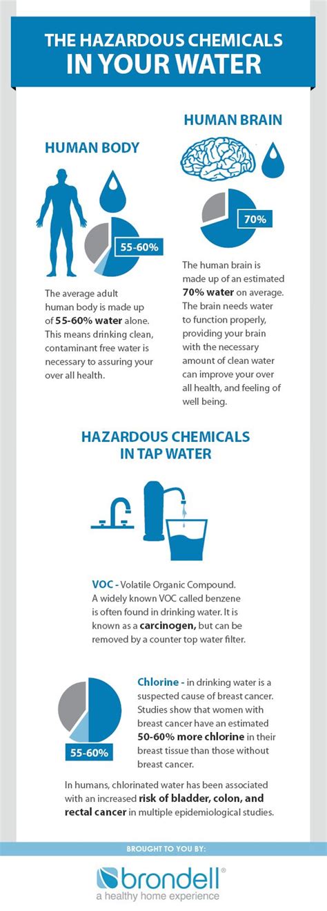 Dangers of Drinking Water Infographic