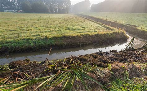 50 Mowing Ditches Stock Photos Pictures And Royalty Free Images Istock