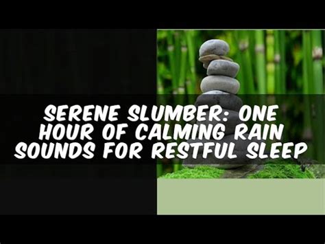 Serene Slumber One Hour Of Calming Rain Sounds For Restful Sleep Youtube