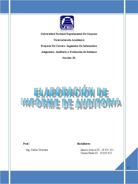 Pdf Tema Informe De Auditoria Dokumen Tips