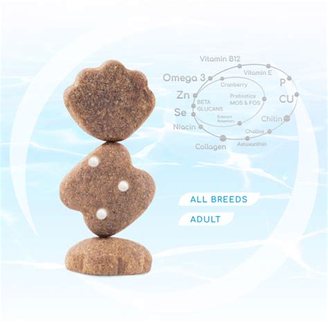 Hrana uscata pentru caini adulti-Optimeal | FourPaws