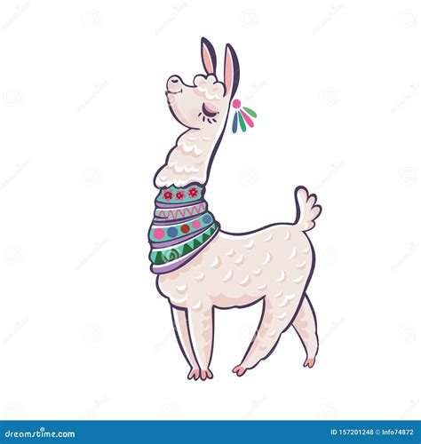 Caricatura De Llama Alpaca Ilustración Aislada Del Vector Animal De