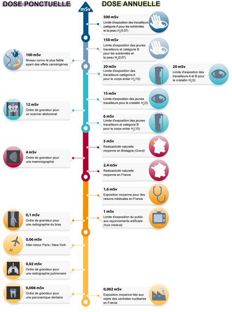 Quels Sont Les Effets Des Rayonnements Ionisants