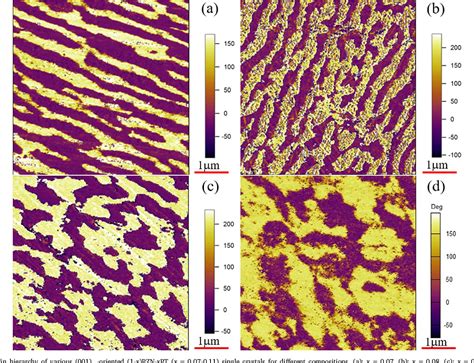 Figure From Ferroelastic Domain Structure And Phase Transition In