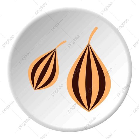 Carom Seed Vector Png Vector Psd And Clipart With Transparent