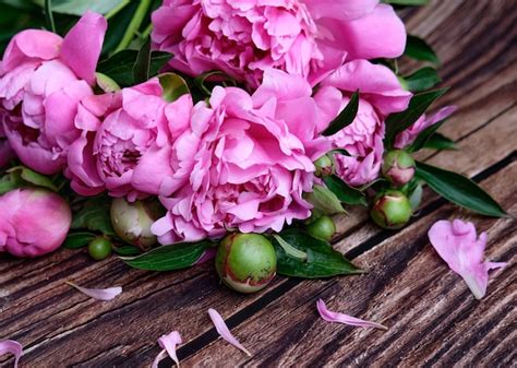 Premium Photo A Bouquet Of Pink Peonies