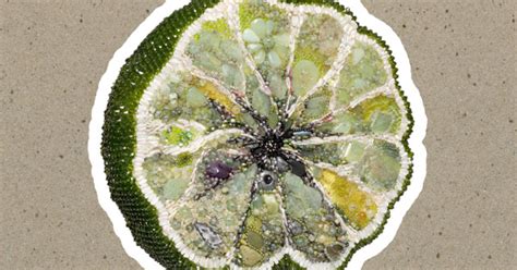 Wilco Hot Sun Cool Shroud