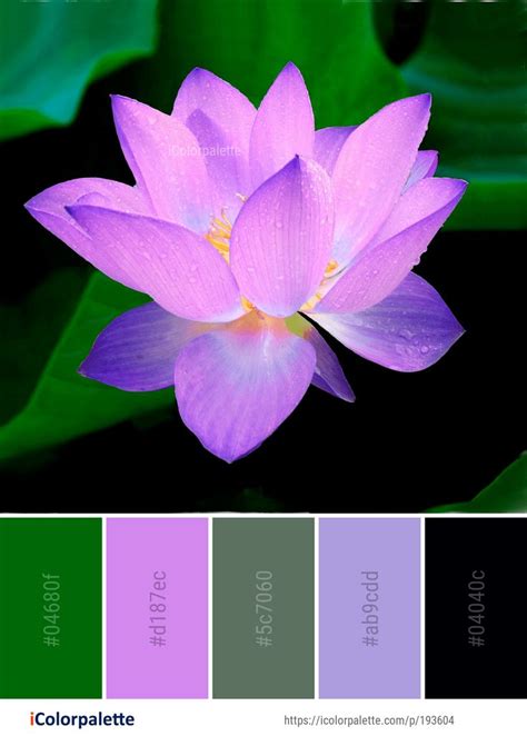 Color Palette Ideas From 172 Lotus Images Icolorpalette Lotus