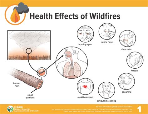 Protection from Wildfire Smoke - CalCAN - California Climate