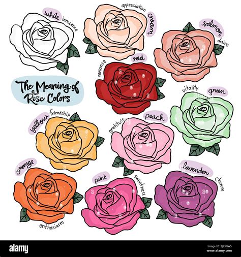 The meaning of rose colors vector illustration Stock Vector Image & Art ...